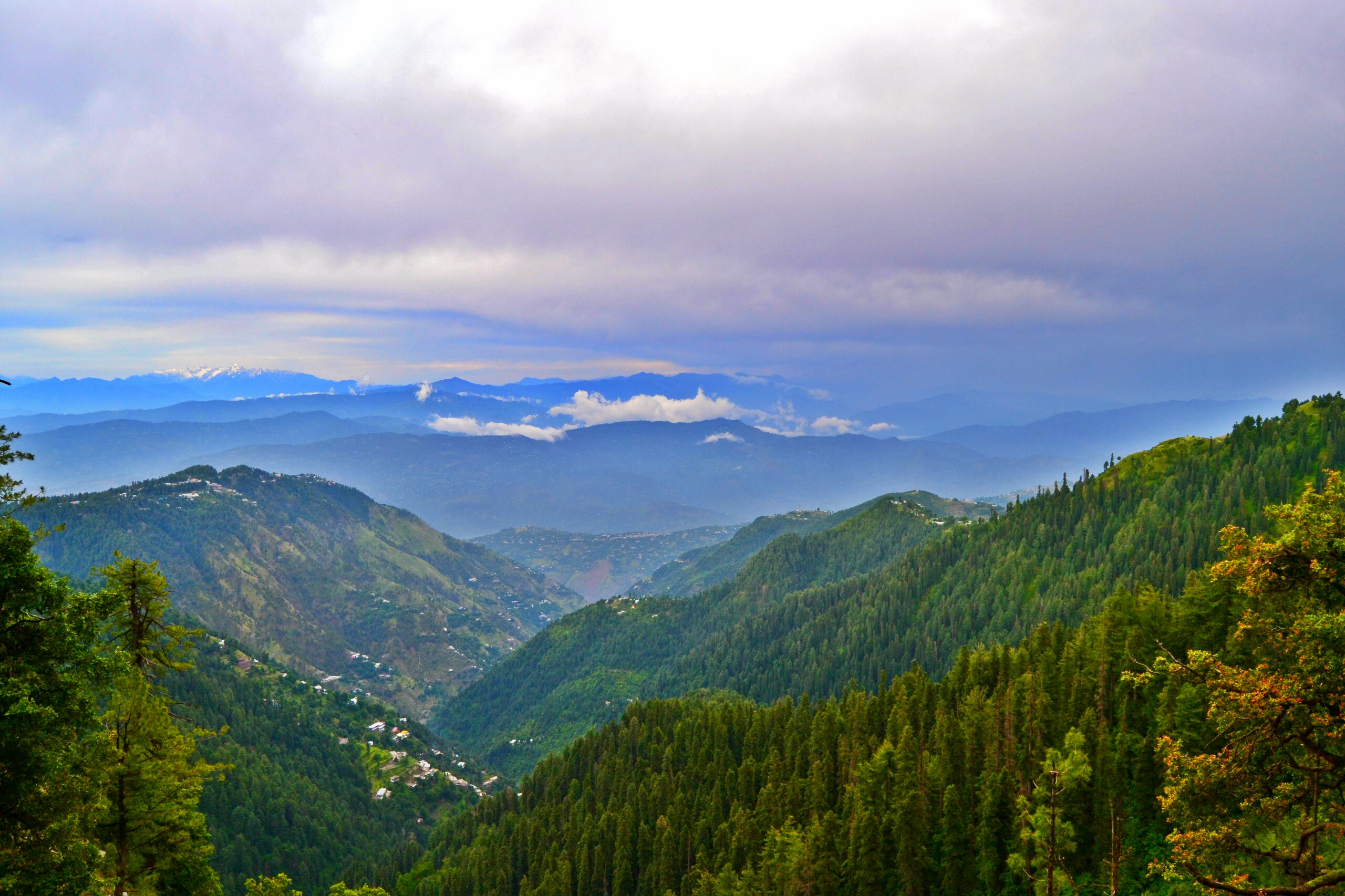 Ayubia National Park