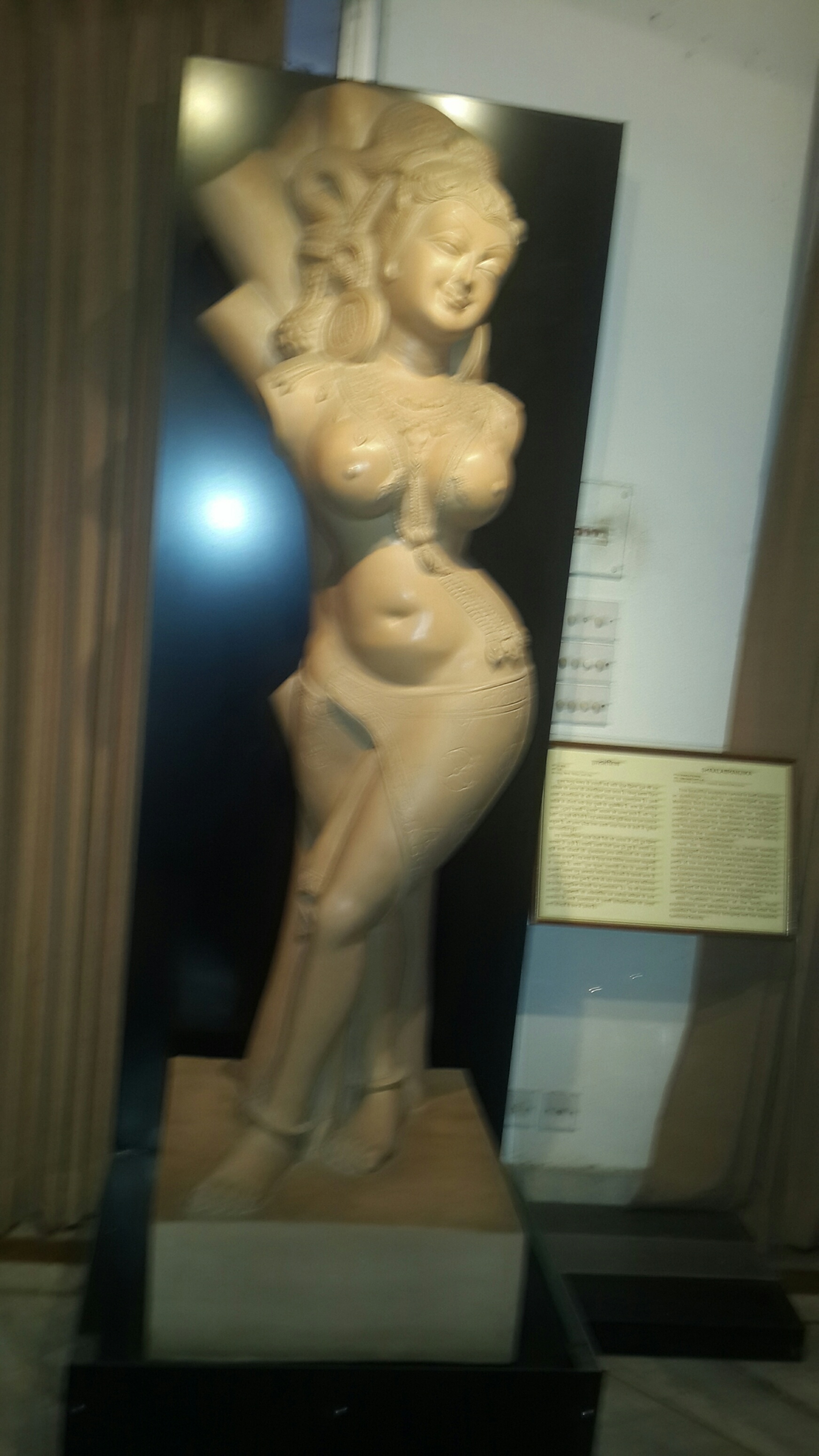 Children's Museum, Siri Fort