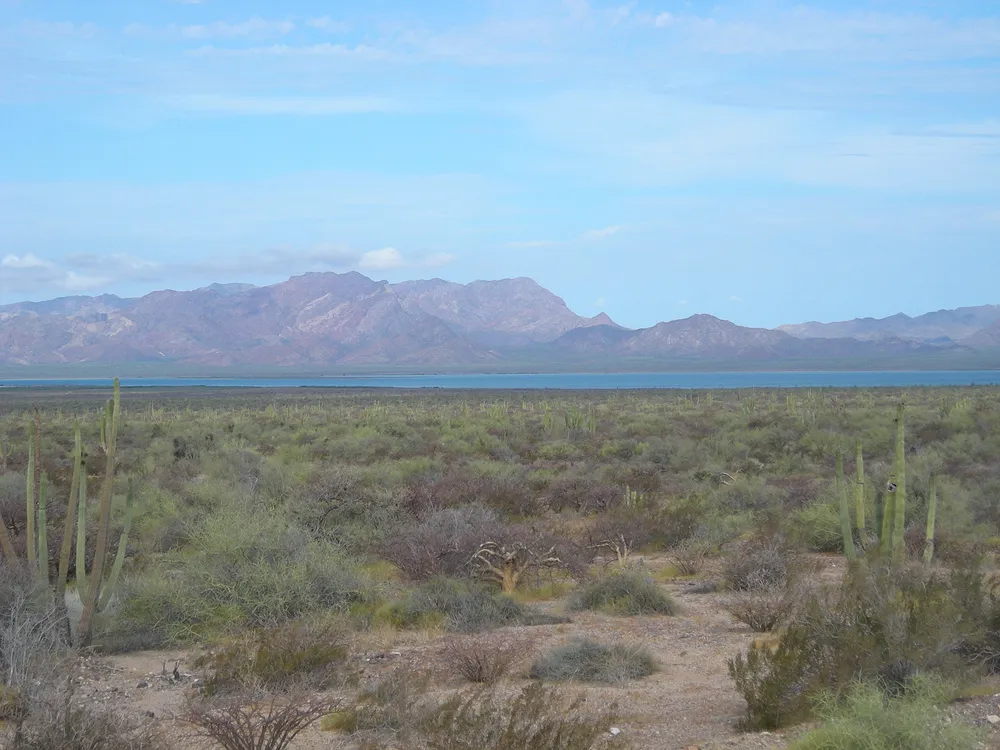 Tiburón Island