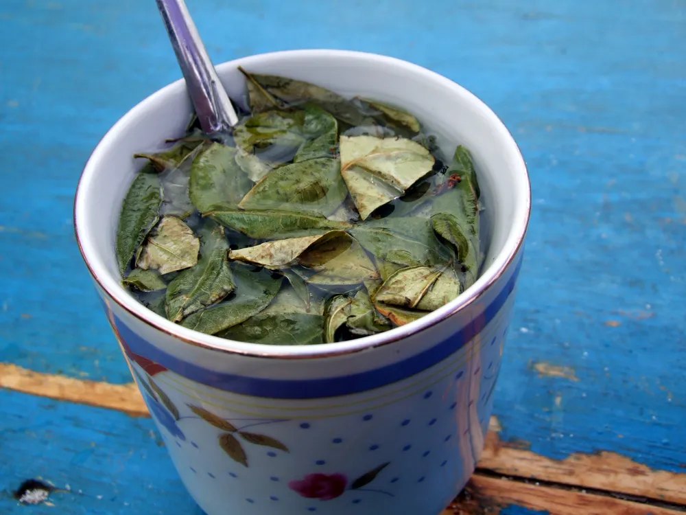 Coca