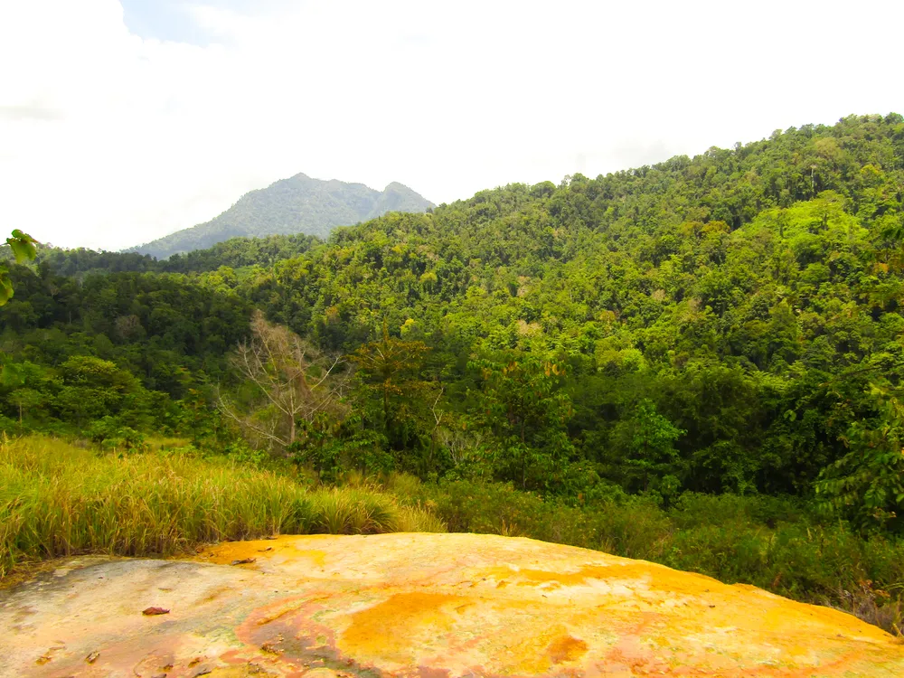 Bogani Nani Wartabone National Park