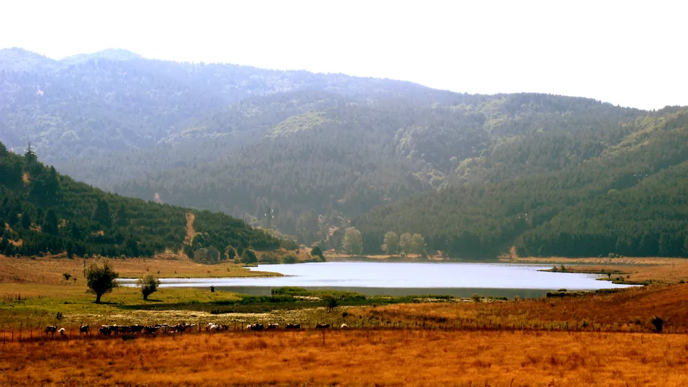 Sila National Park