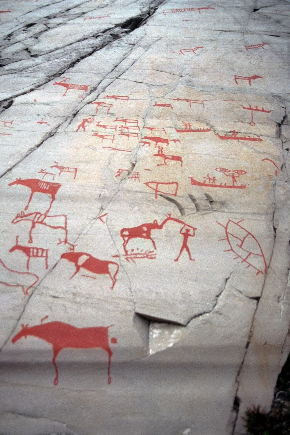 Rock carvings at Alta