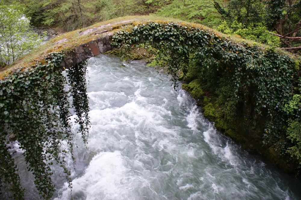 Kintrishi Protected Landscape