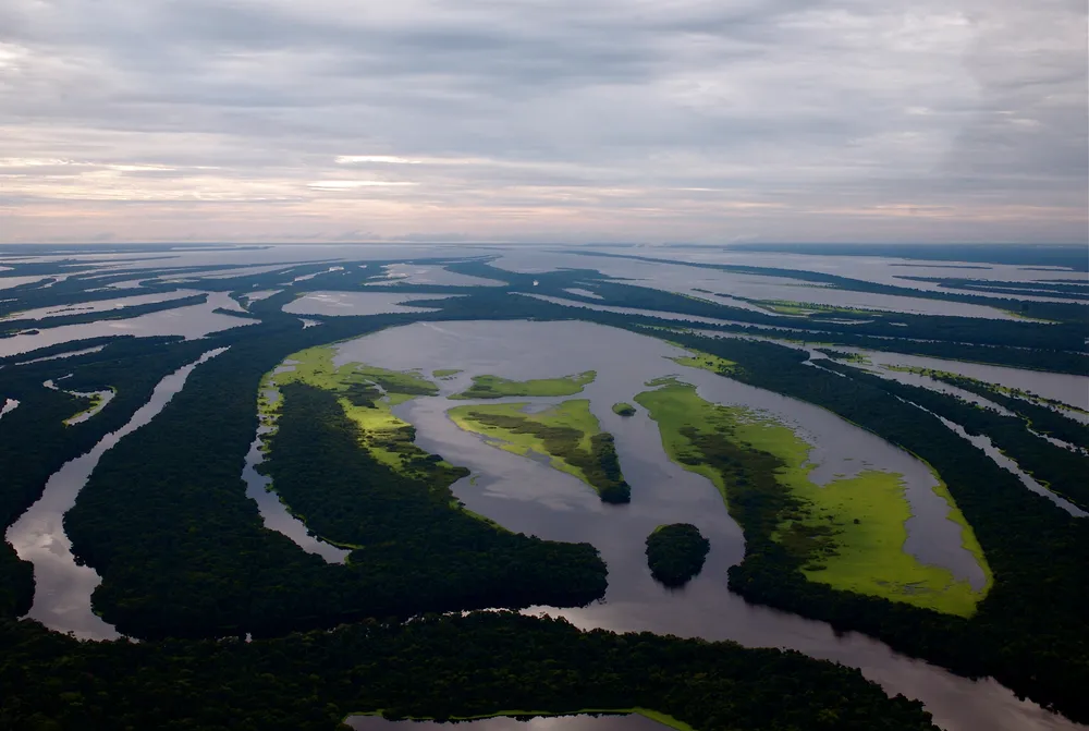 Anavilhanas National Park