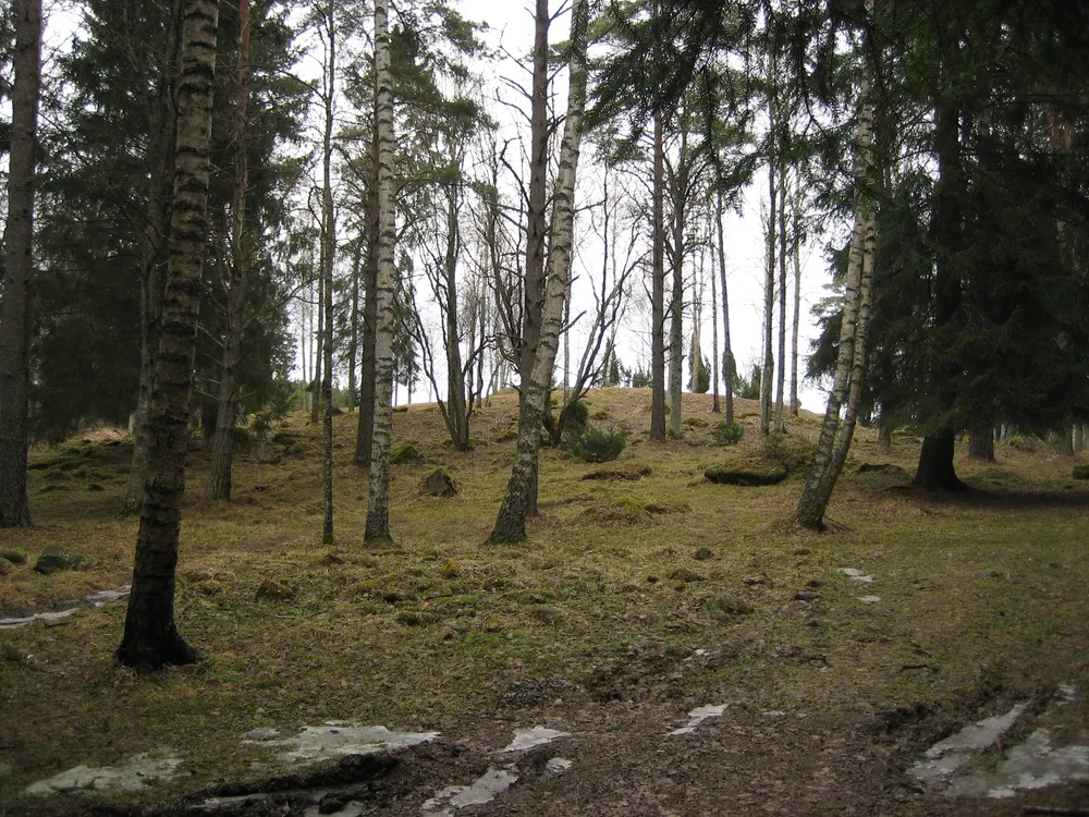 Liinmaa Castle