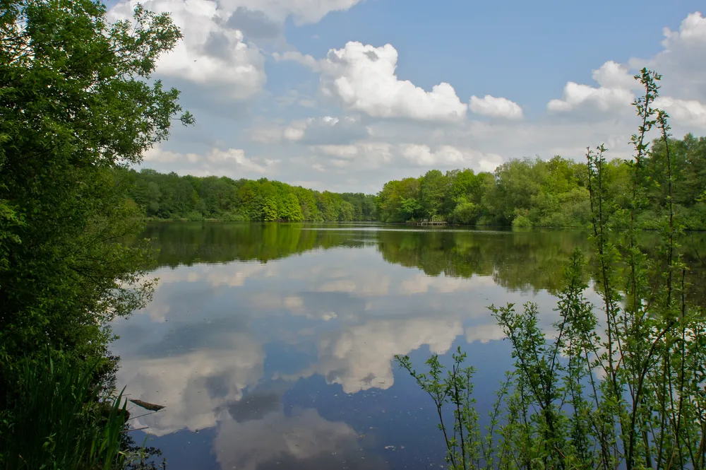 Bramfelder See