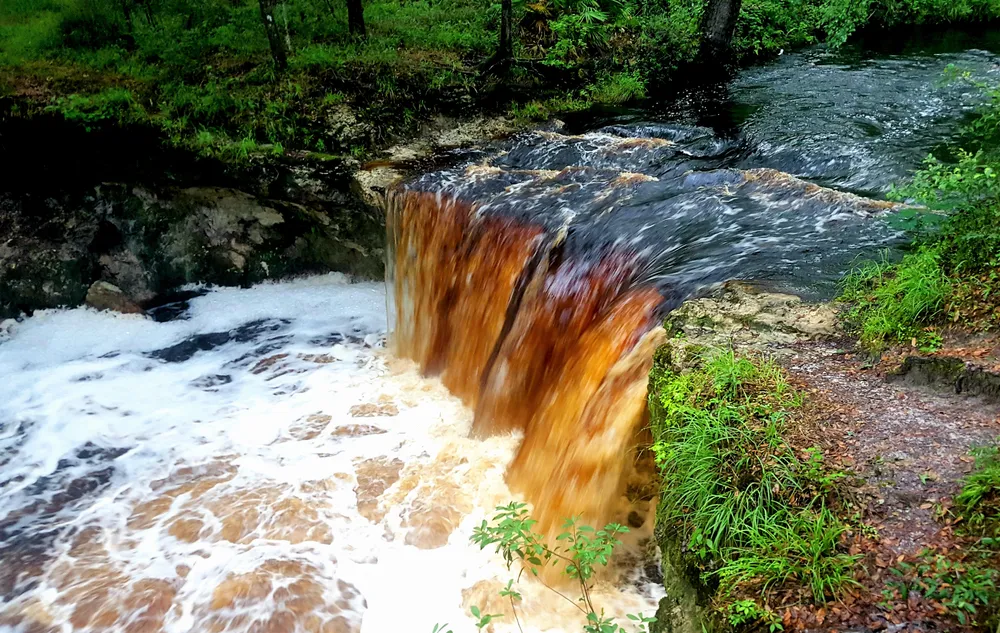 Falling Creek Falls