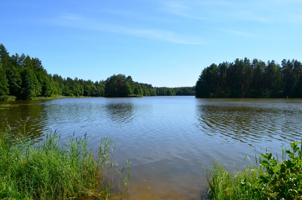 Grūda