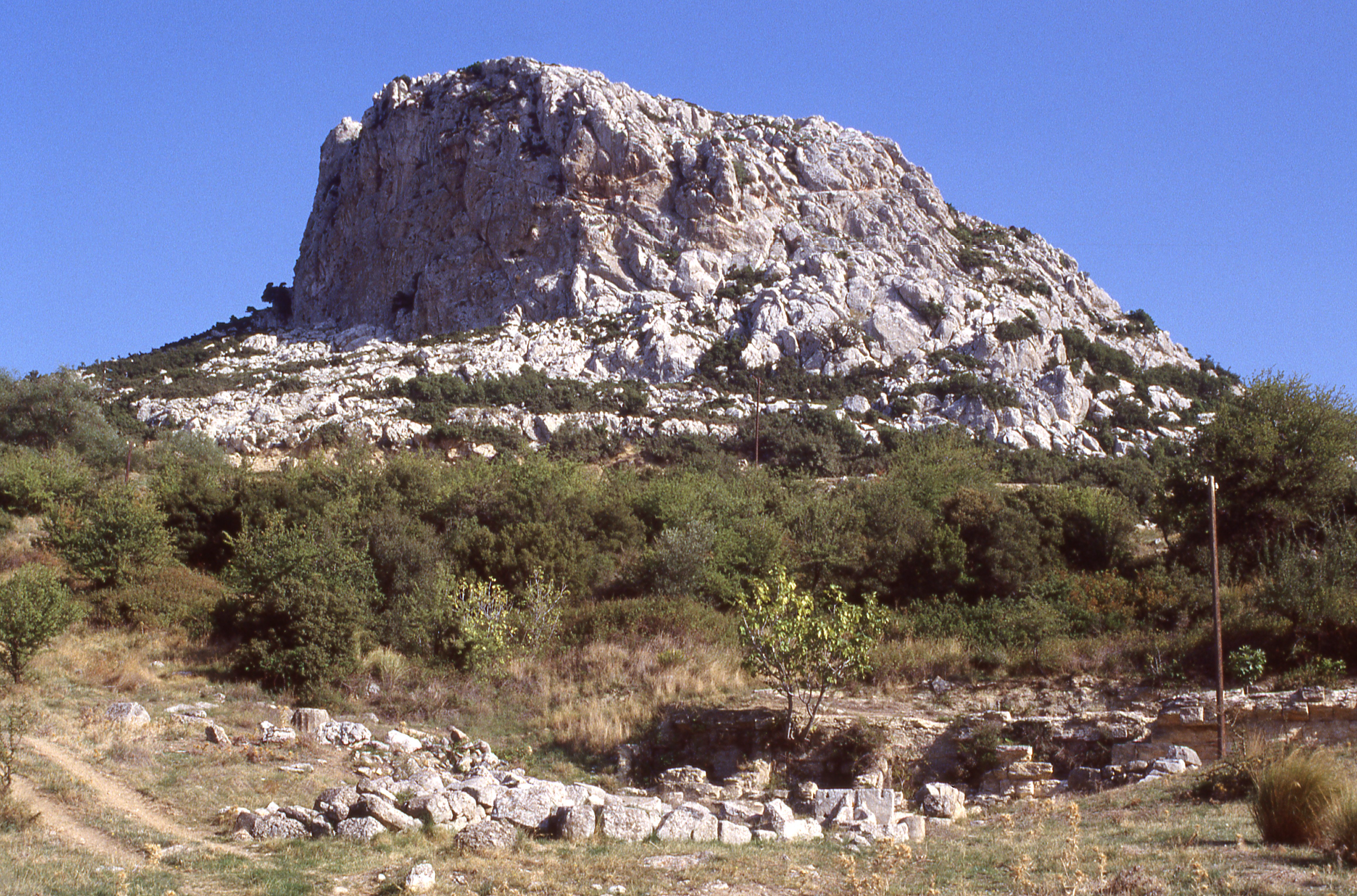 Ptoion