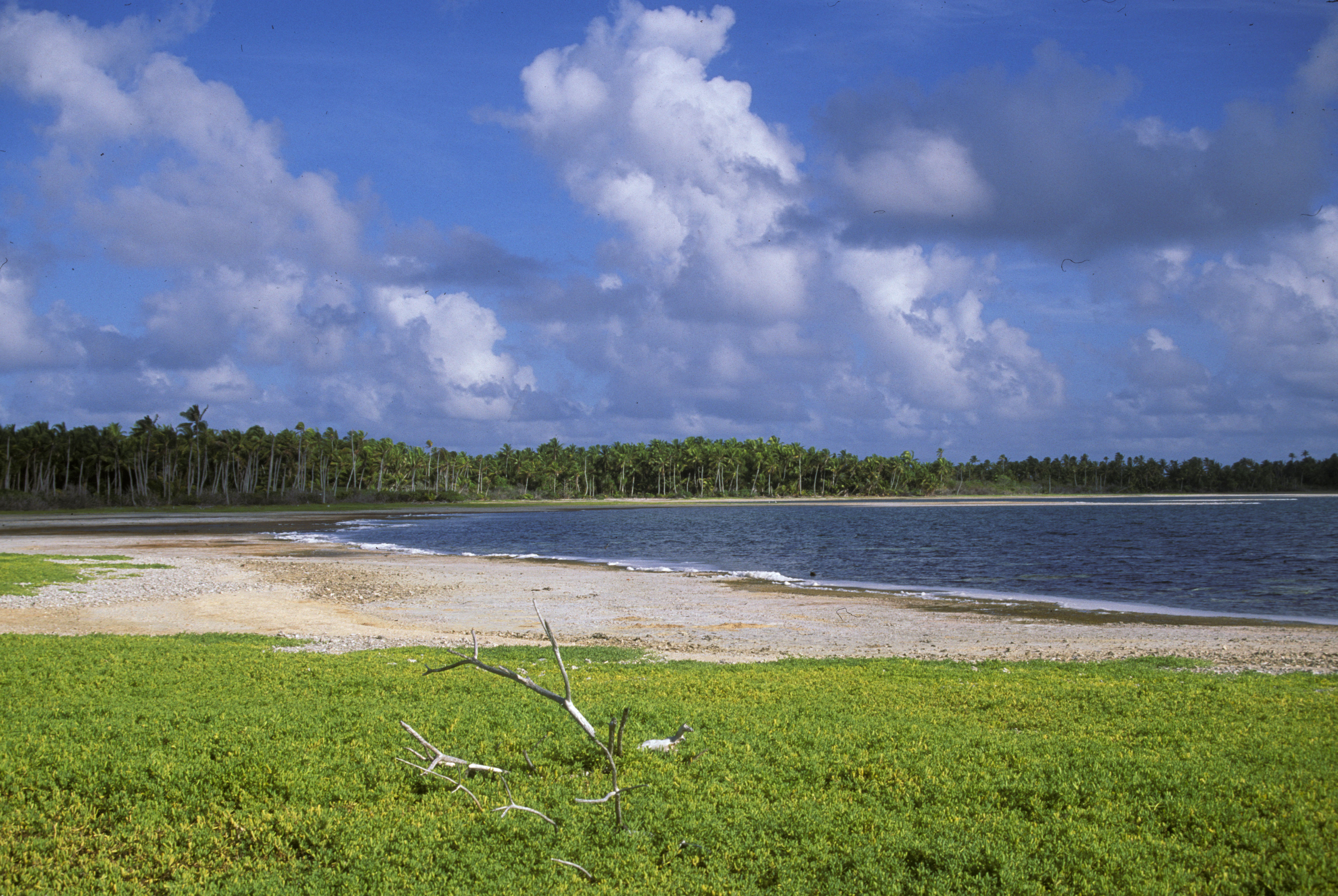 Manra Island