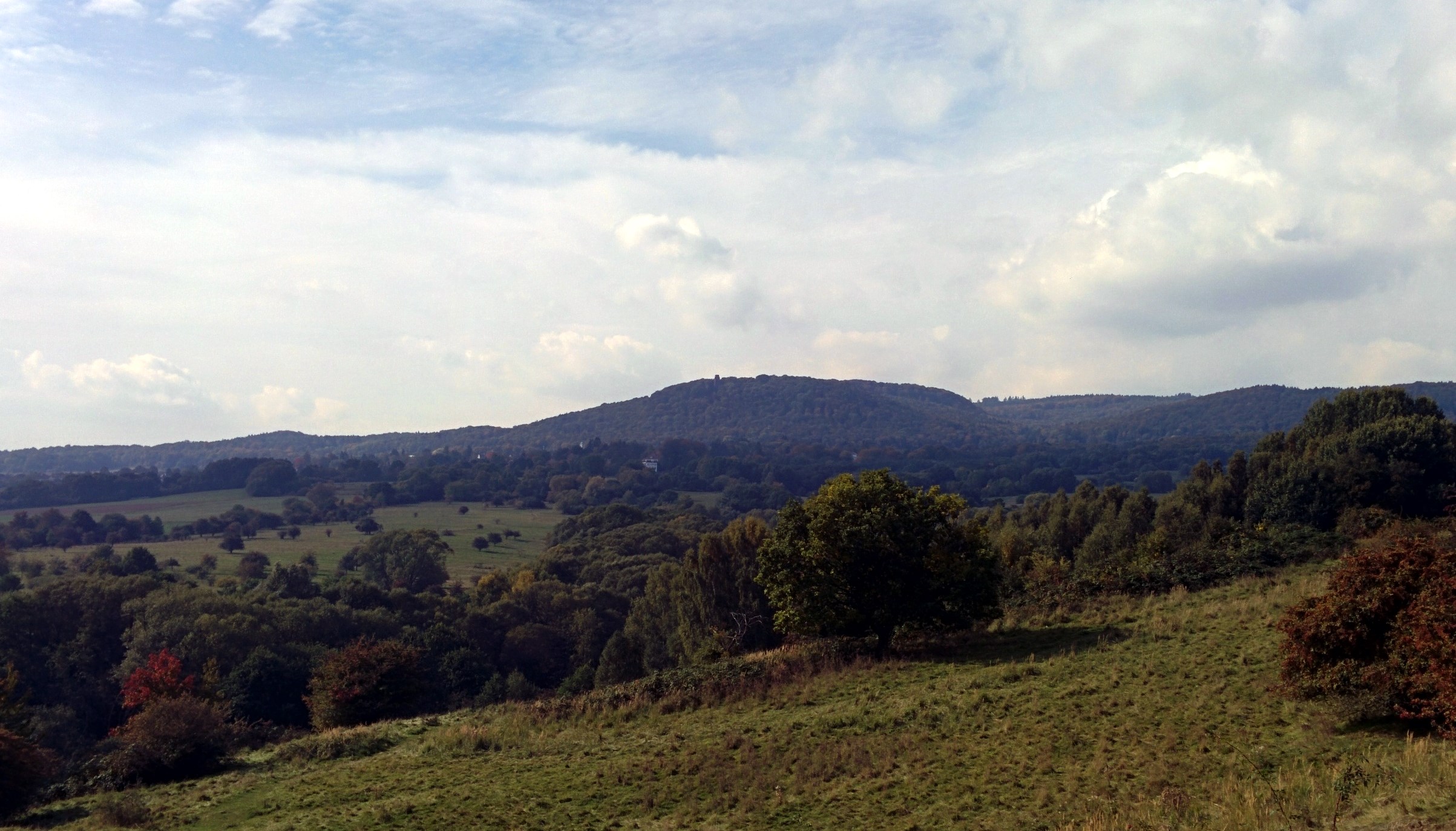 Brasselsberg