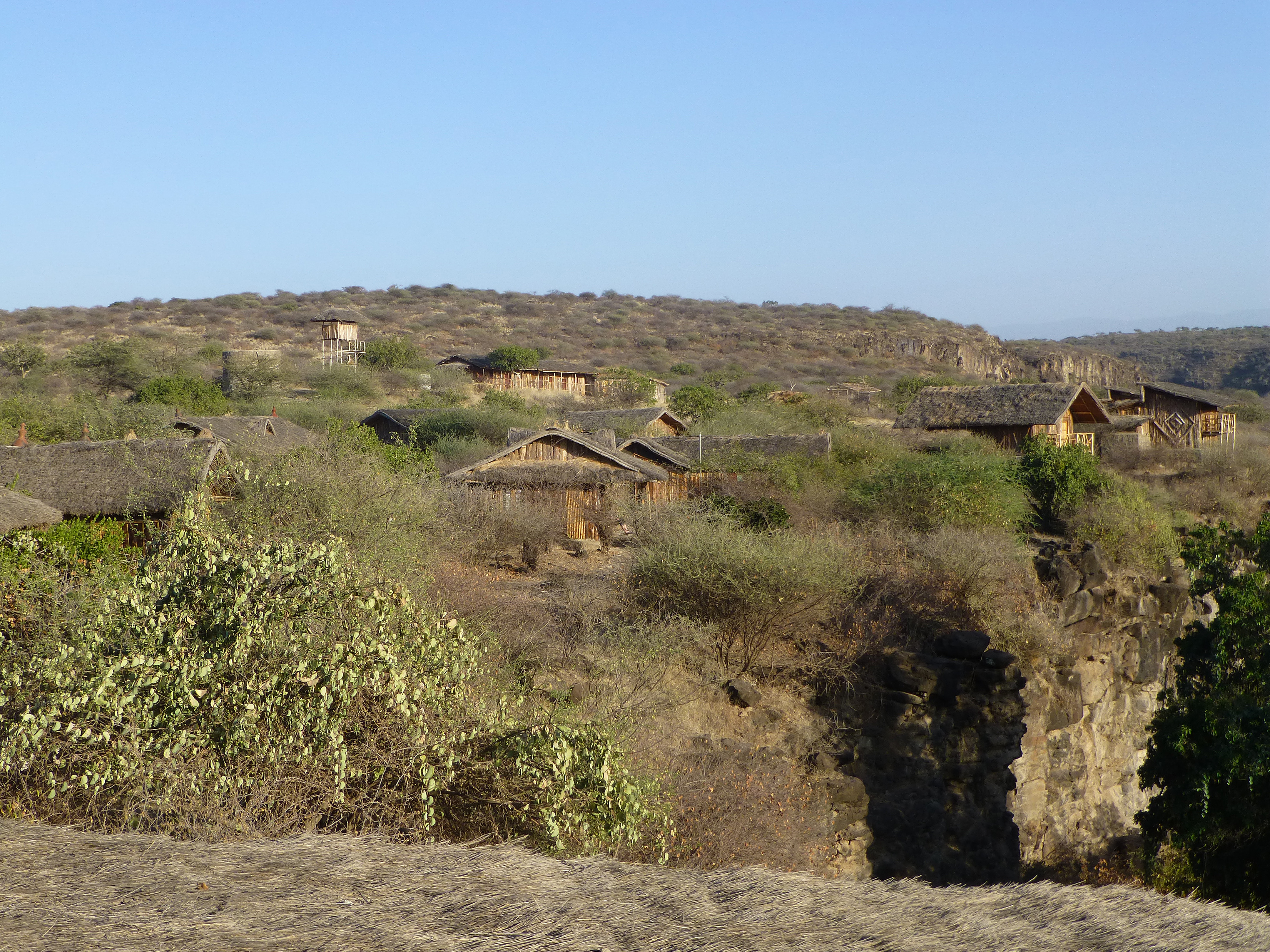 Awash National Park, Ethiopia