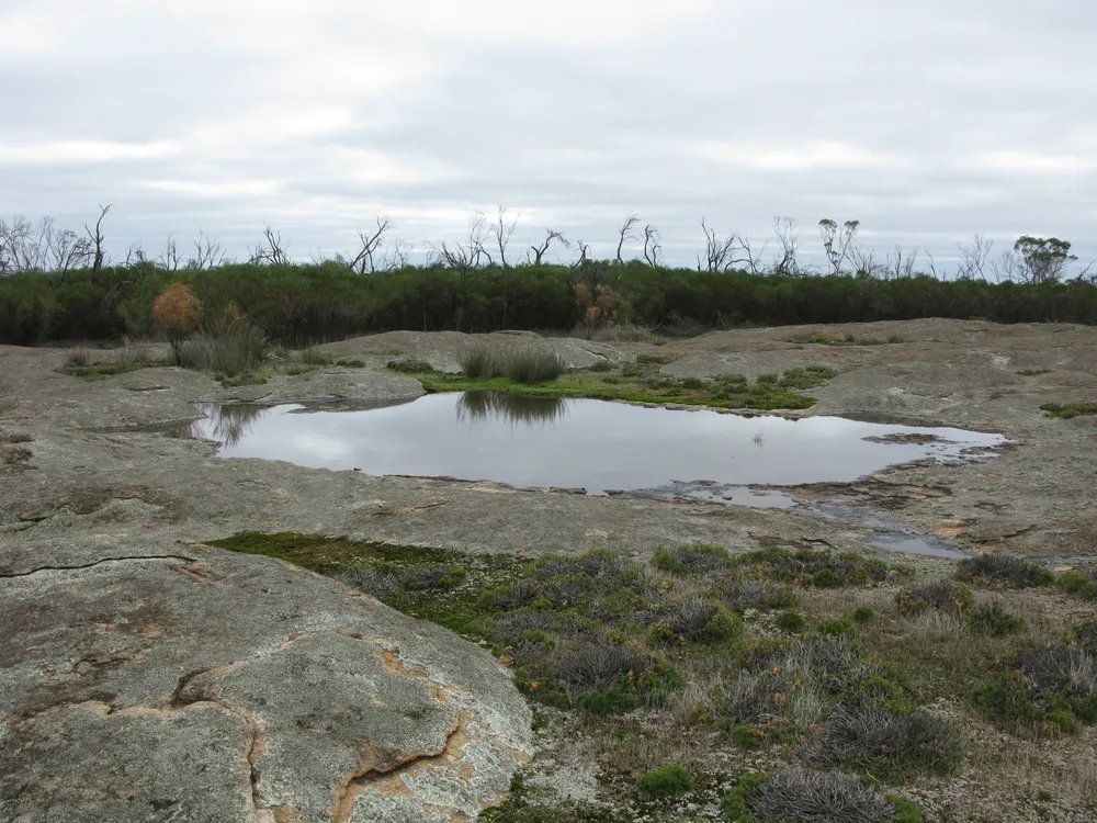 Frank Hann National Park