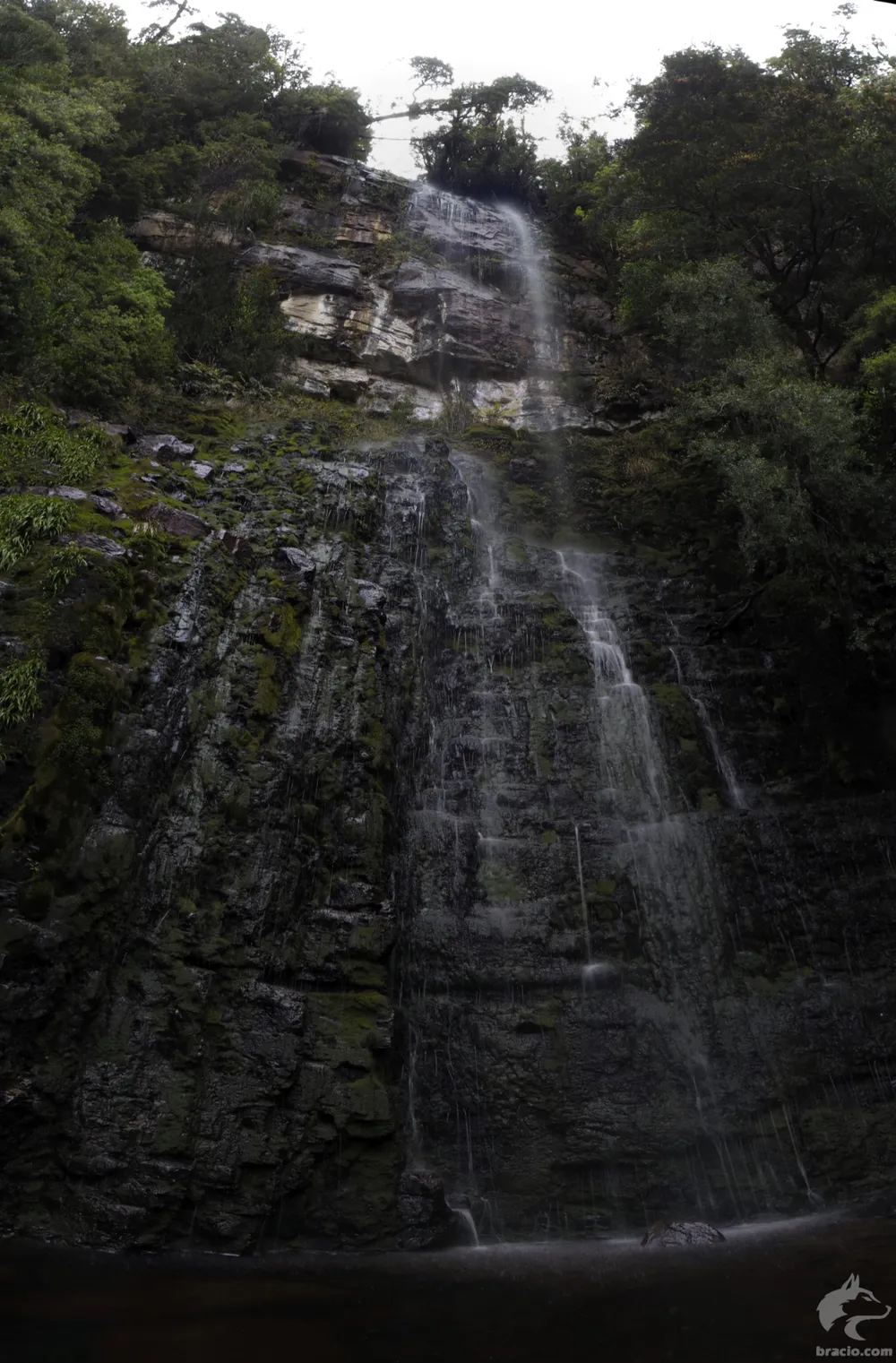 Adamsons Falls