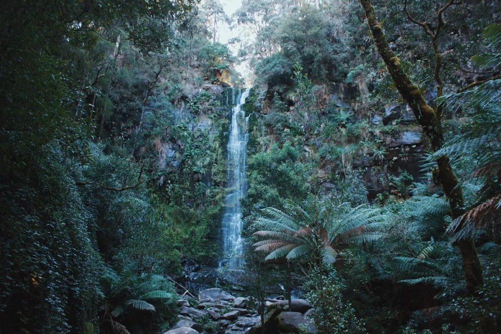 Erskine Falls