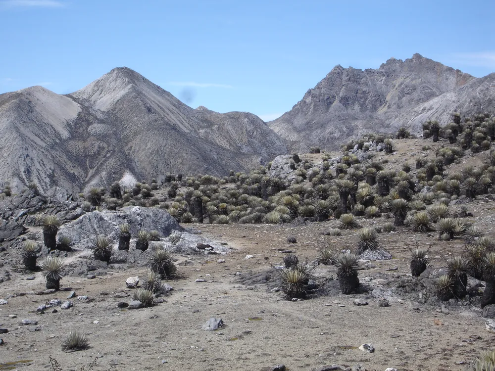 Pico Piedras Blancas