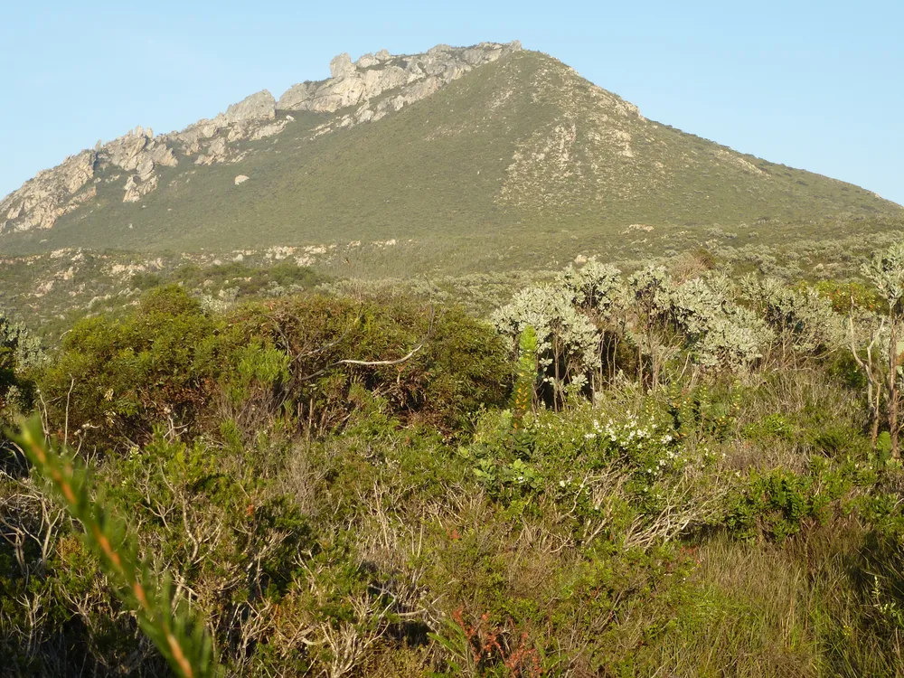 East Mount Barren