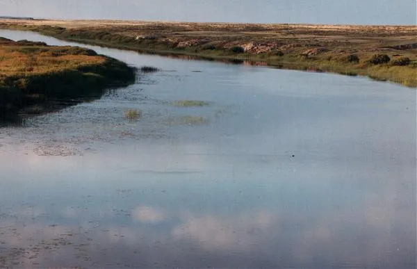 Turgay Plateau
