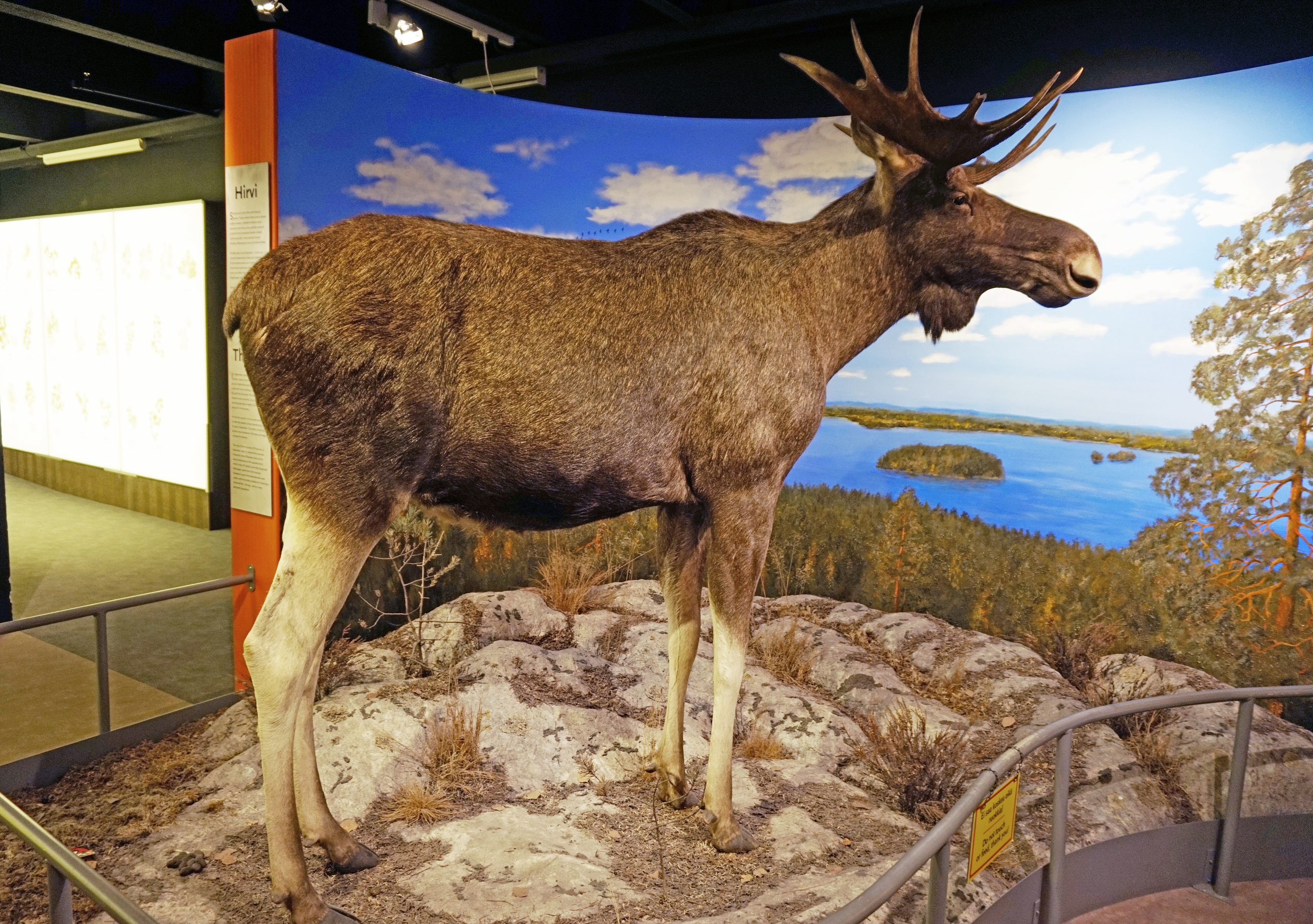 Natural History Museum of Tampere