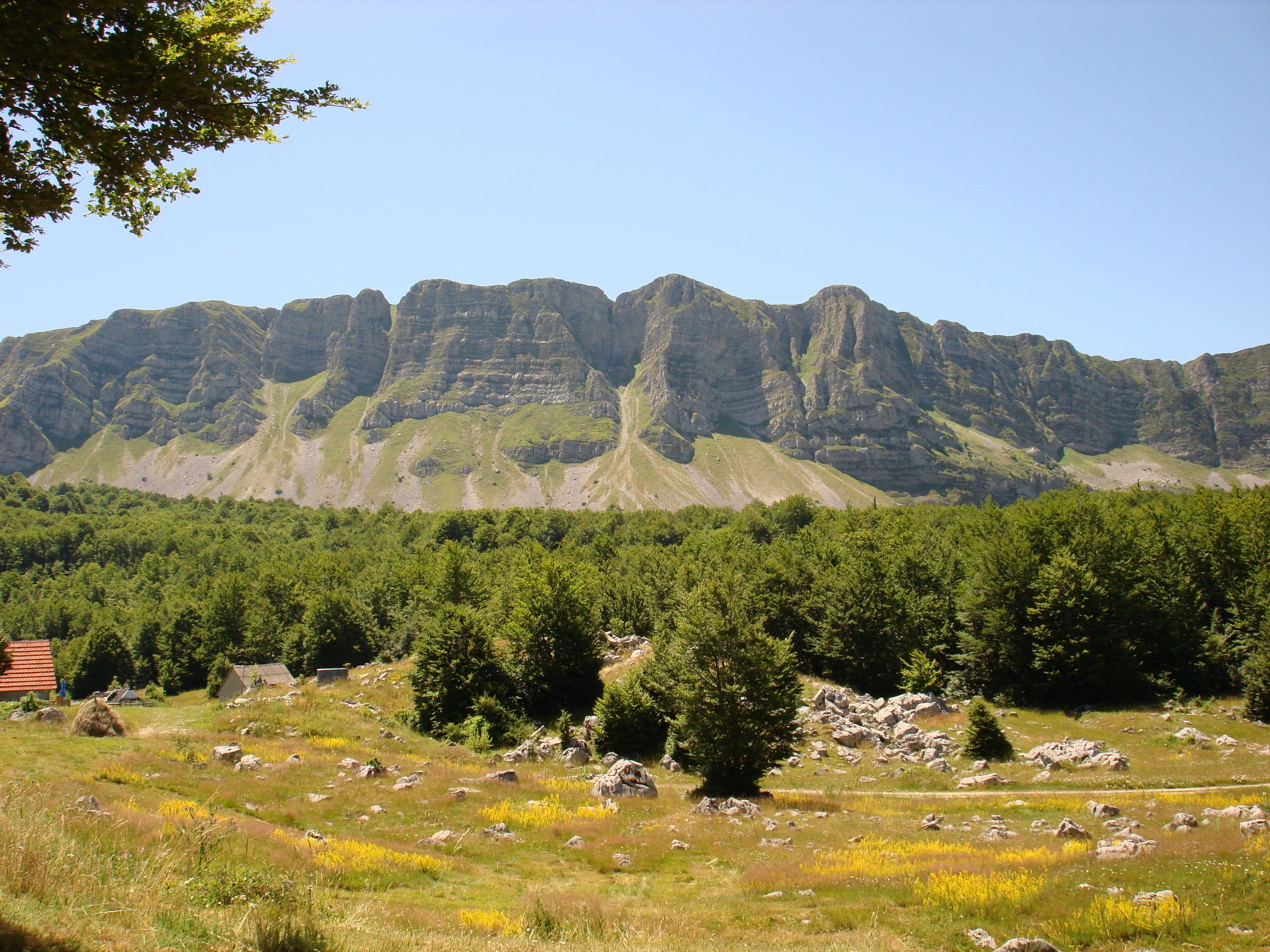 Lebršnik