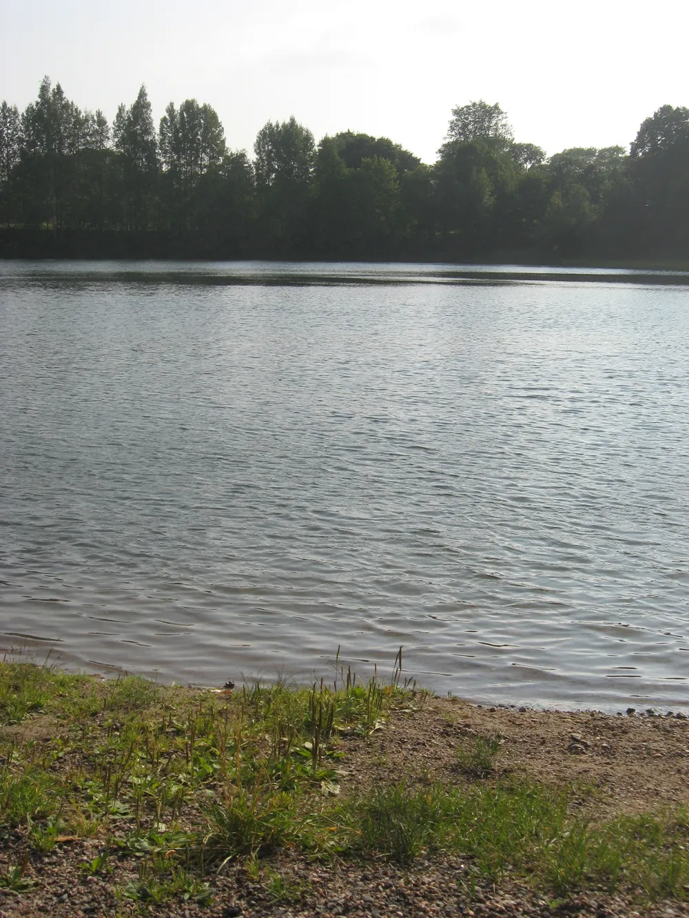 Mytäjäinen (pond)