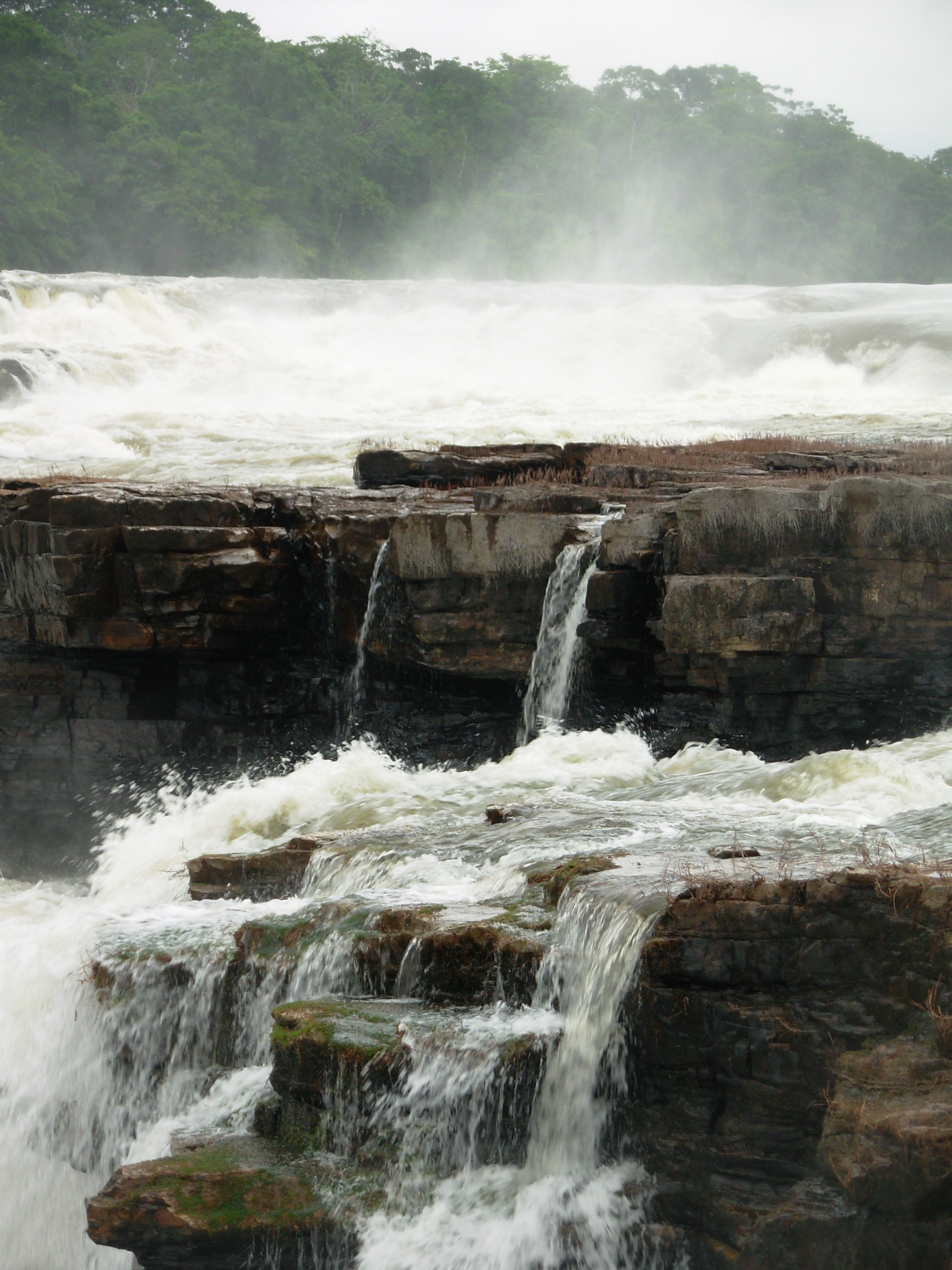 Juruena National Park