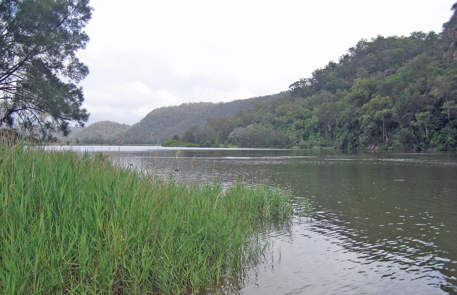Dharug National Park