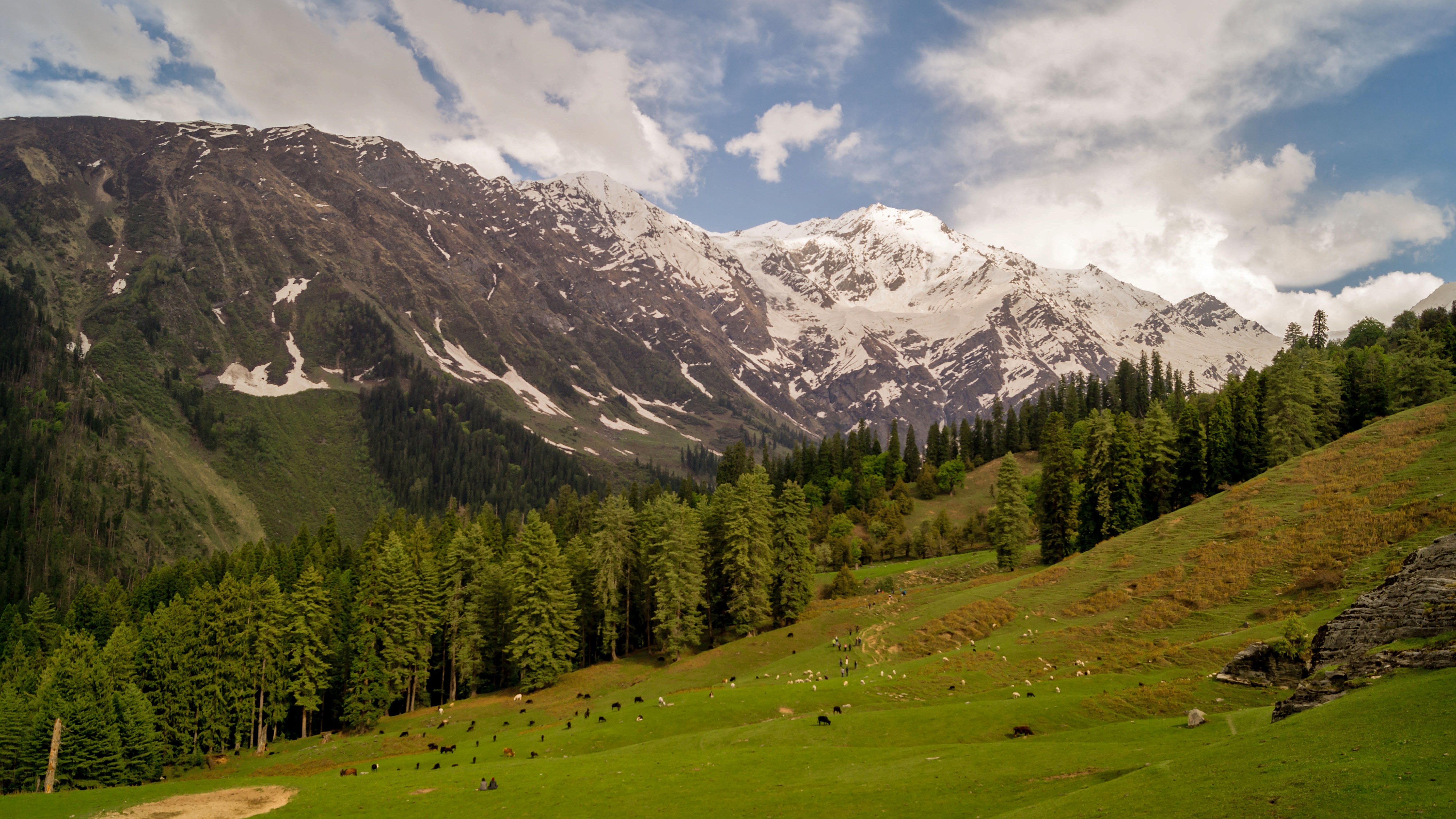 Great Himalayan National Park