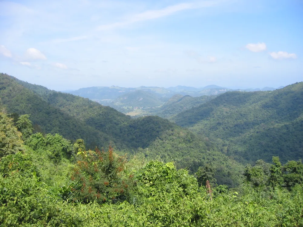 Dong Phayayen-Khao Yai Forest Complex
