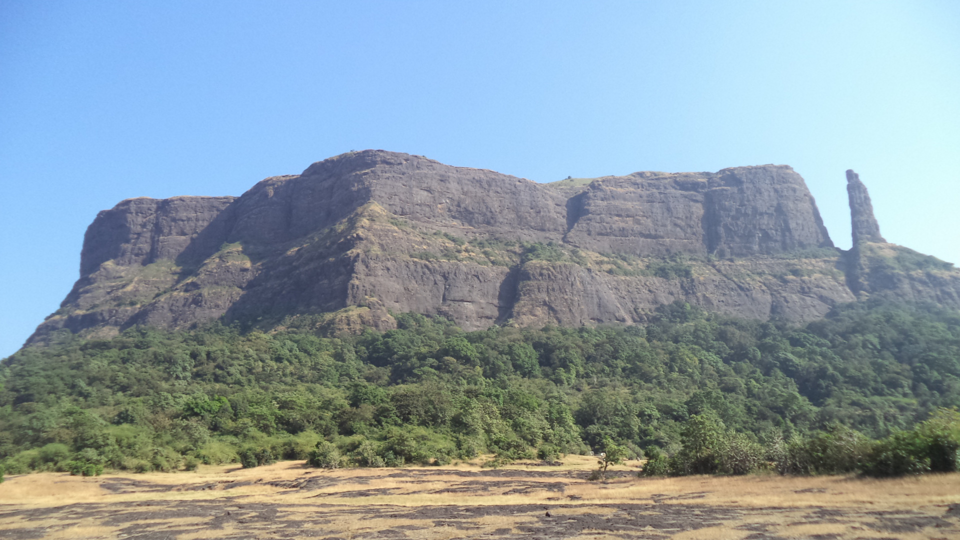 Jivdhan