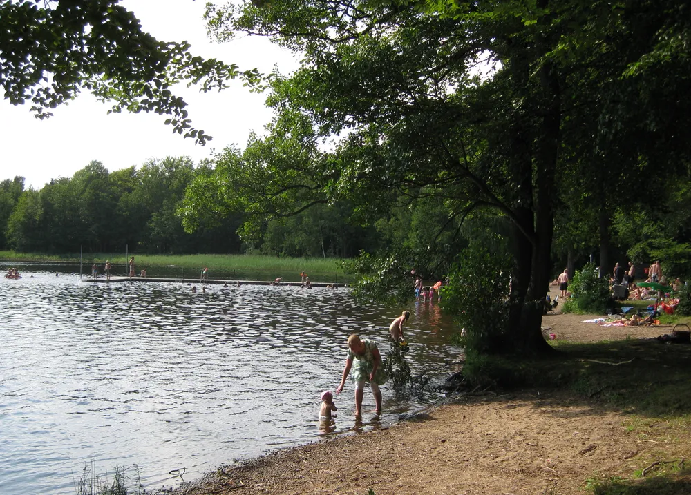 Bosarpasjön