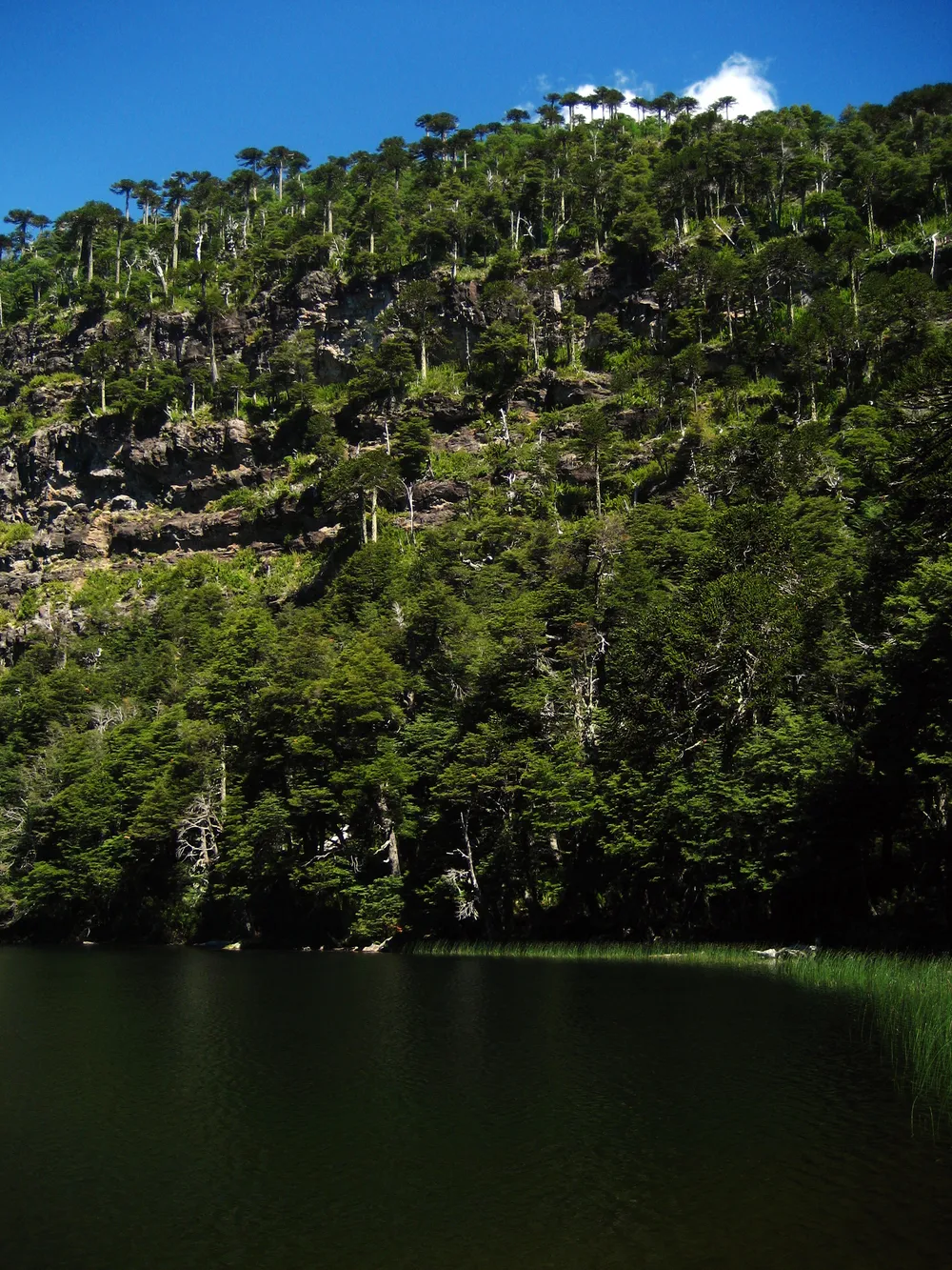 Tolhuaca National Park