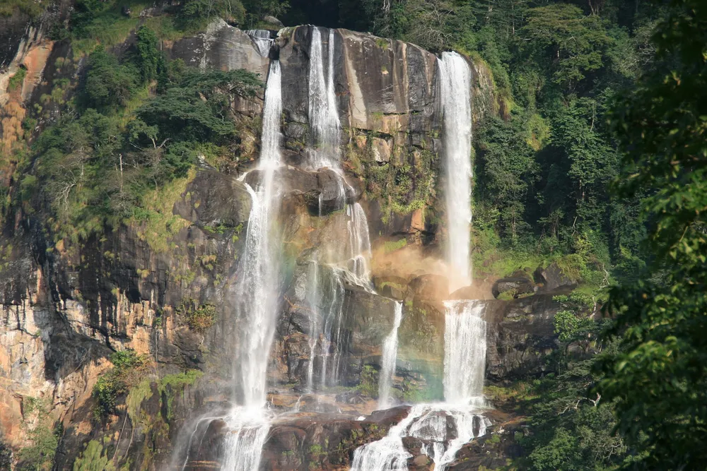 Udzungwa Mountains National Park