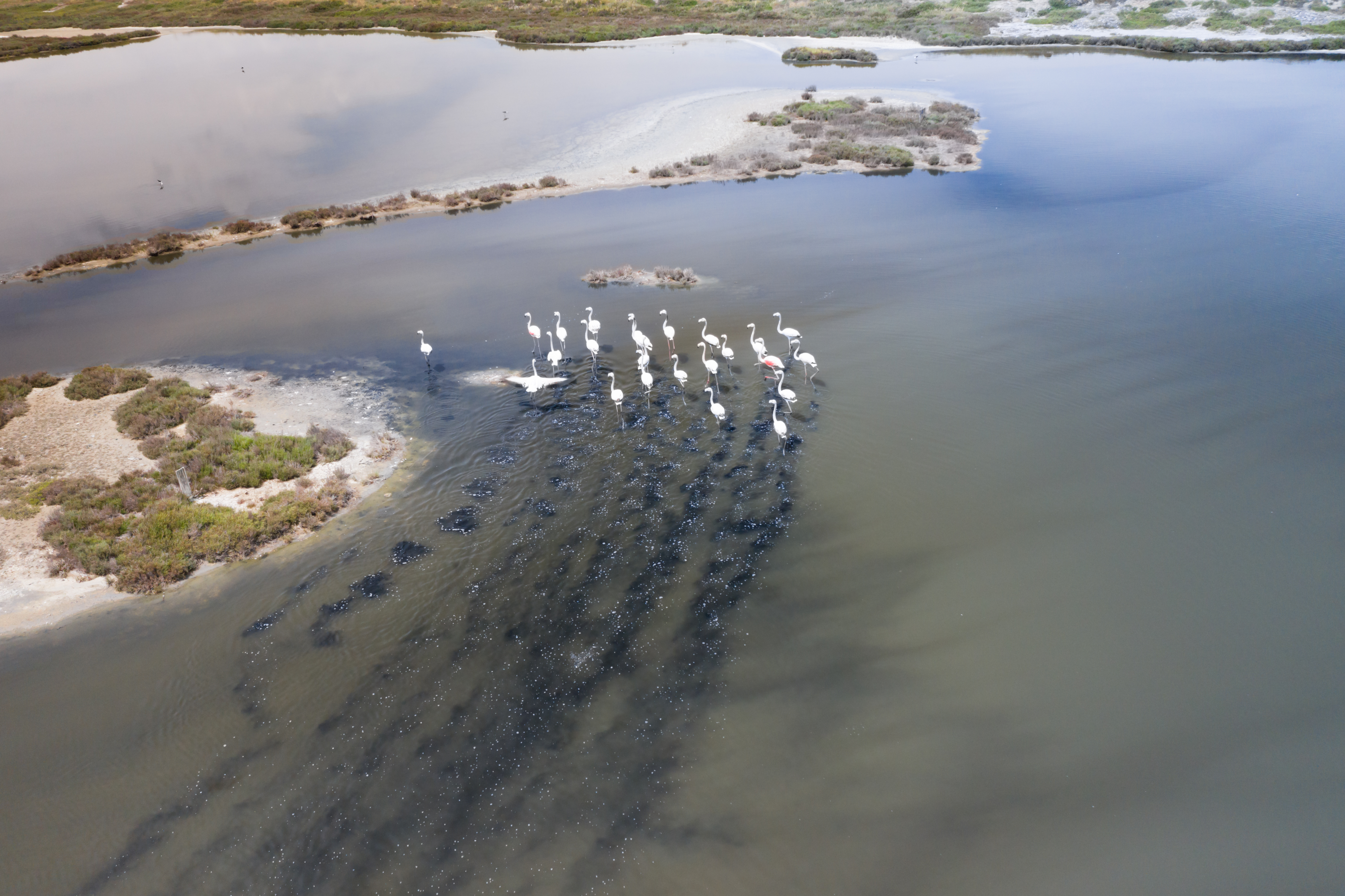 Axios-Loudias-Aliakmonas Delta National Park