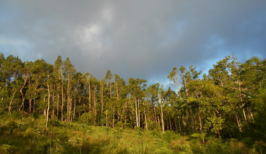 'Eua National Park