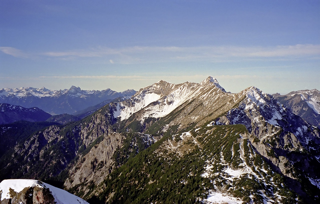 Geierköpfe