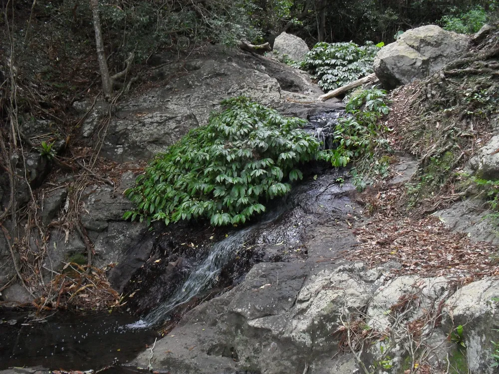 Mcgrory Falls