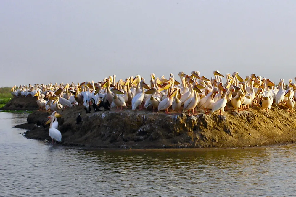 Northern Senegal, Senegal