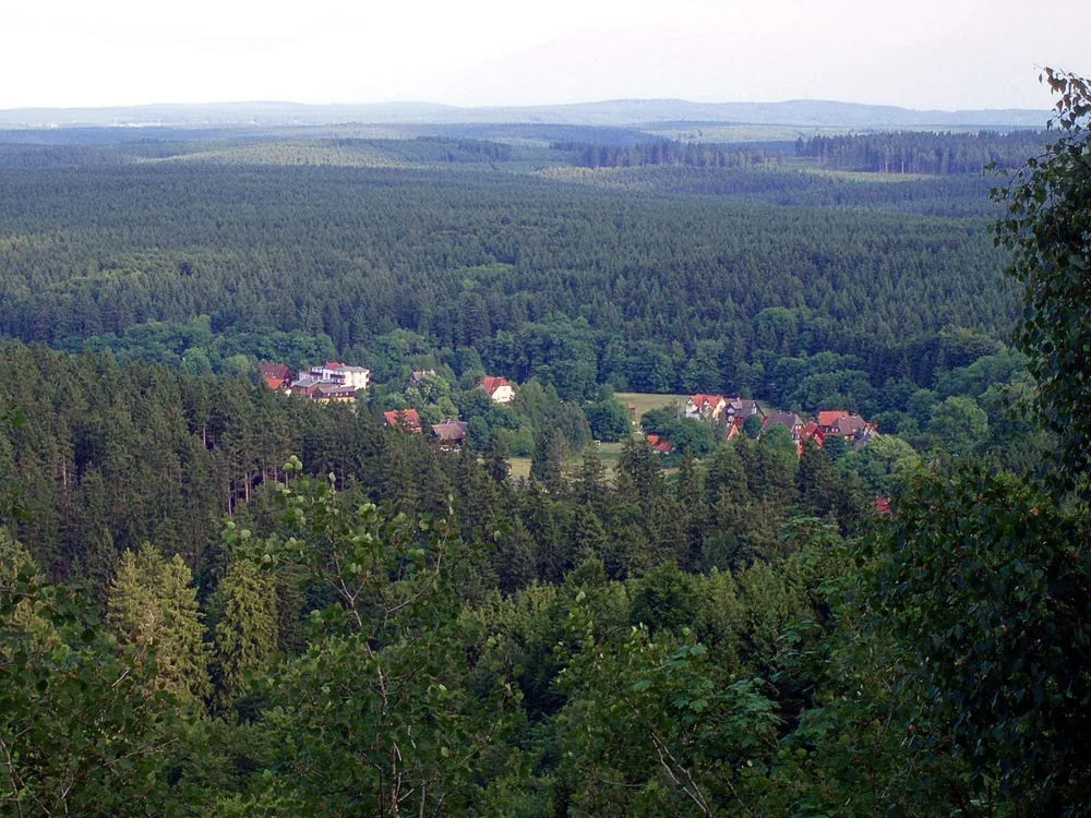 Barenberg