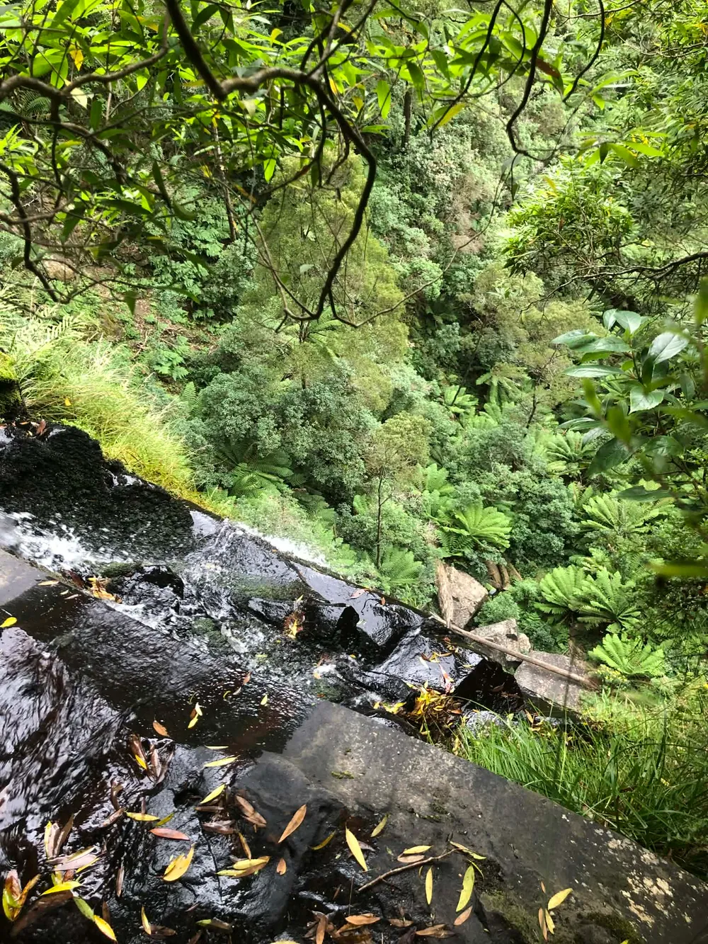 Slender Falls