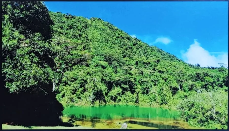 Juan Castro Blanco National Park, Costa Rica