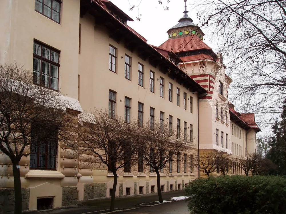 National Forestry University