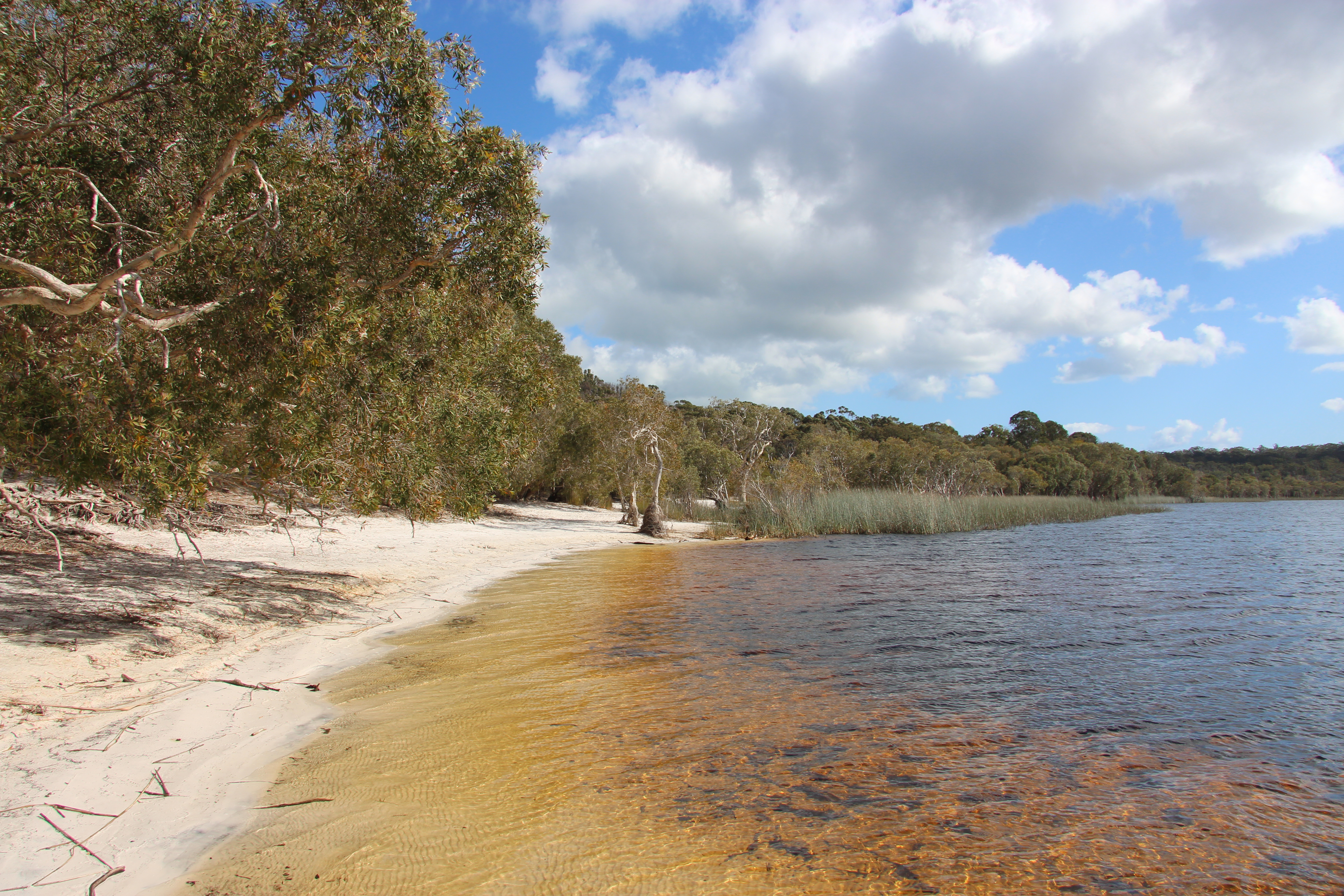Brown Lake