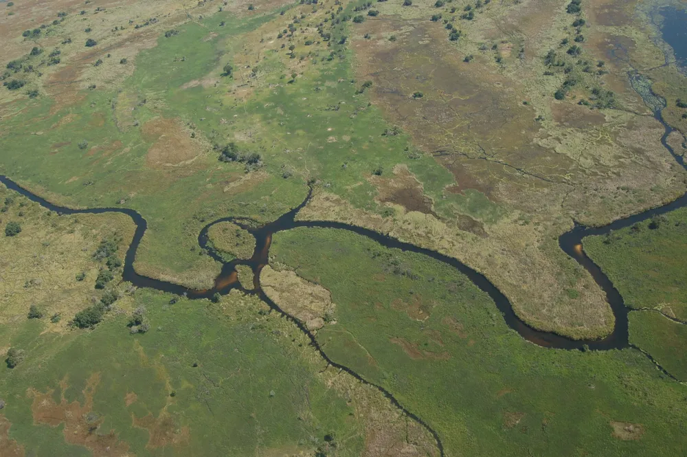 Okavango Delta