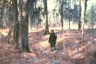 Apalachicola Fort Site