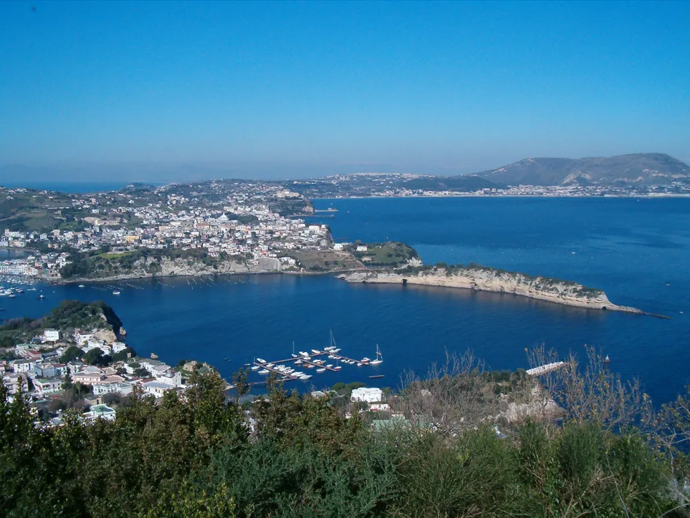 Pennata