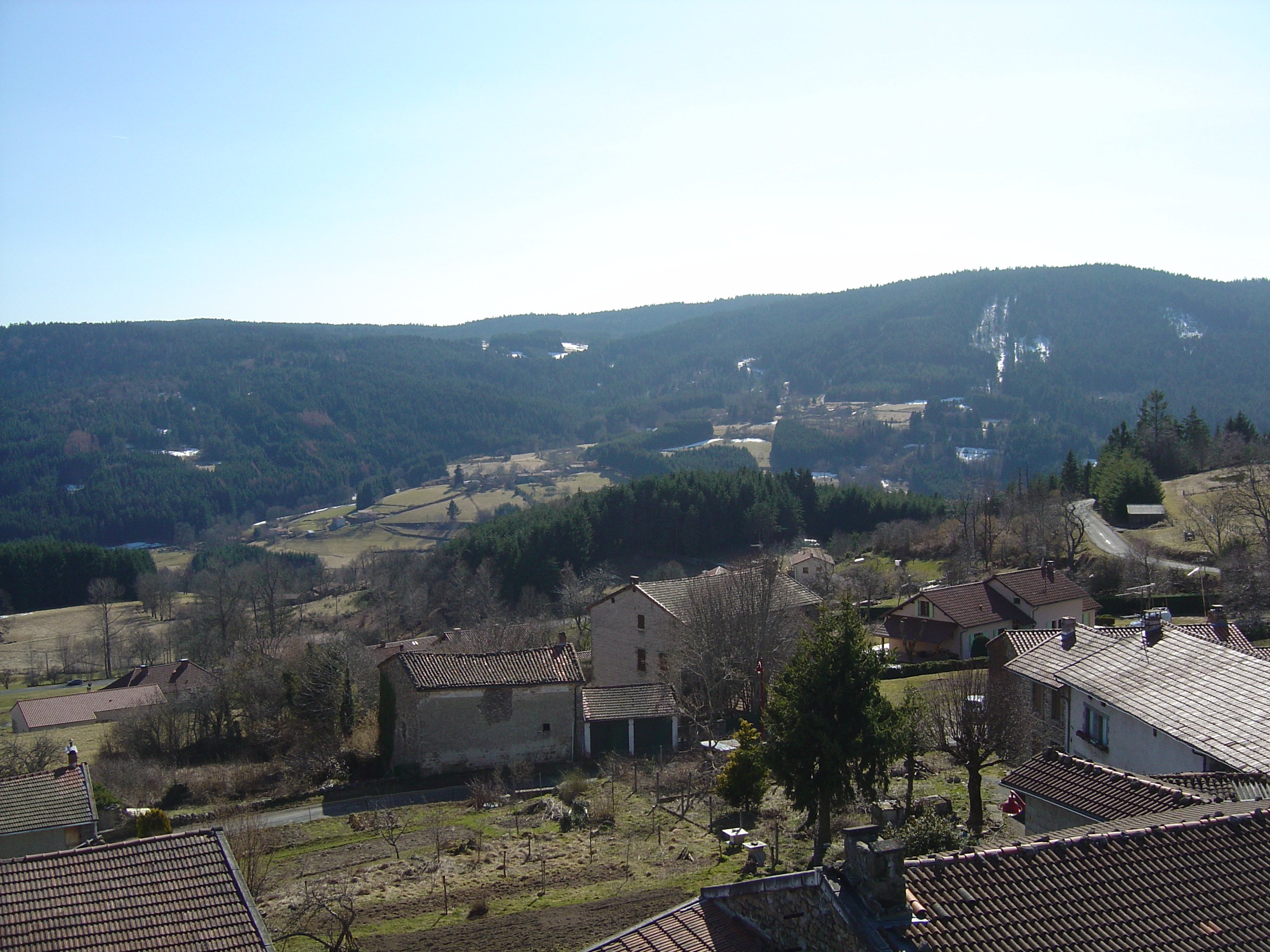 Bois Noirs (Livradois)