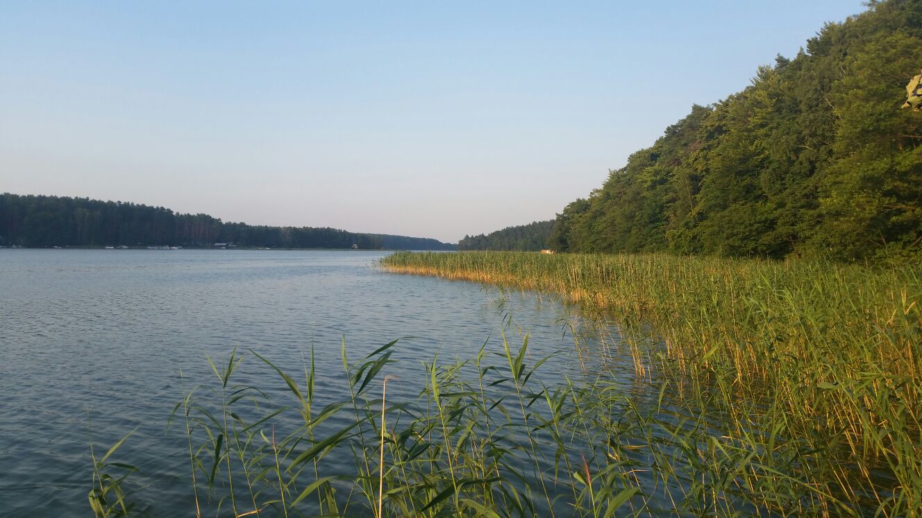 Großer Pälitzsee
