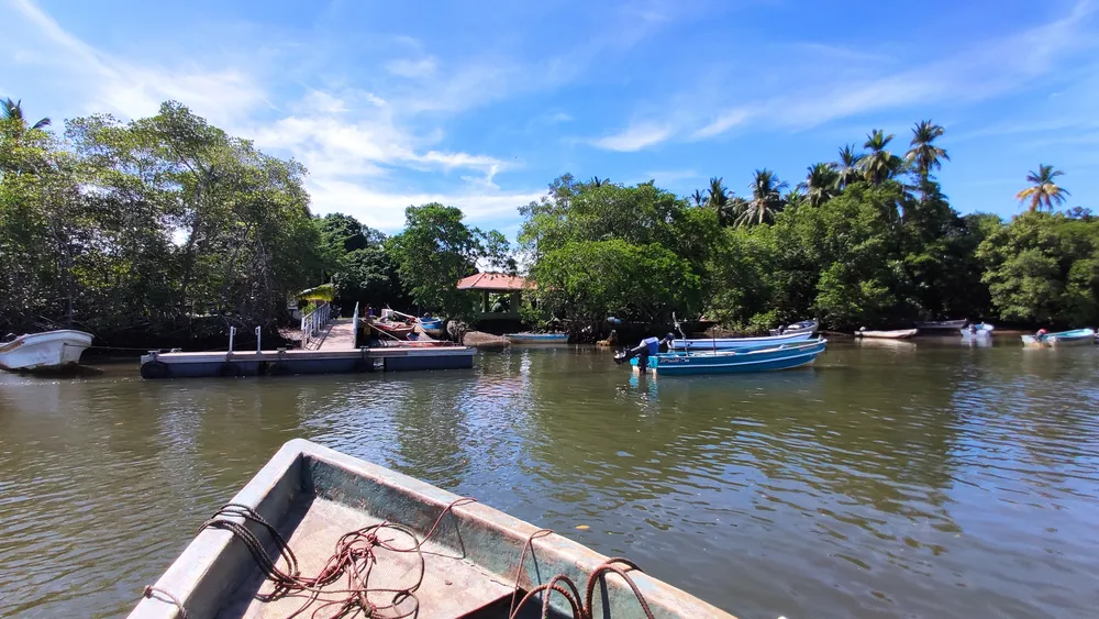 Isla de Cañas